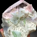 Pink Morganite with Green Tourmalines, Lepidolite and Cleavelandite Albite Specimen - 382 gram - image 3