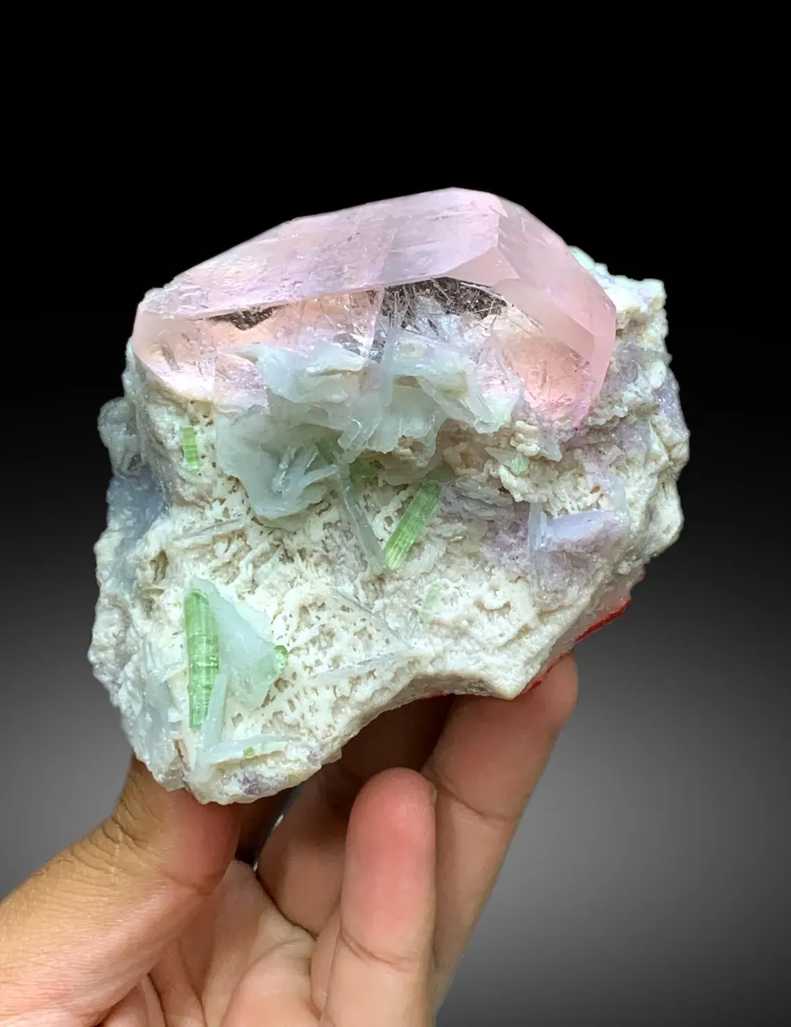 Pink Morganite with Green Tourmalines, Lepidolite and Cleavelandite Albite Specimen - 382 gram - image 6