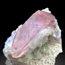 Pink Morganite with Green Tourmalines, Lepidolite and Cleavelandite Albite Specimen - 382 gram - image 8
