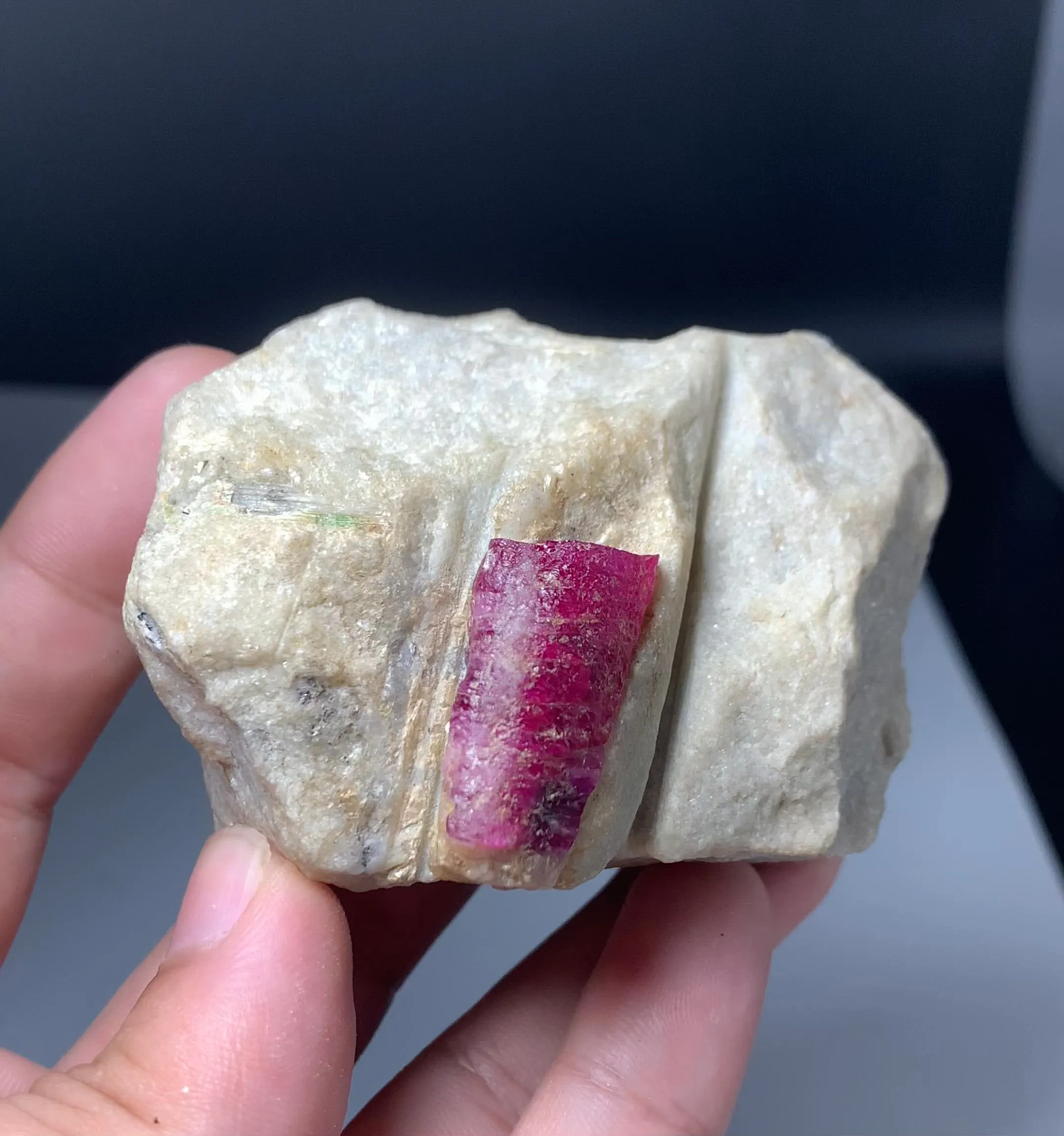 specimen video
