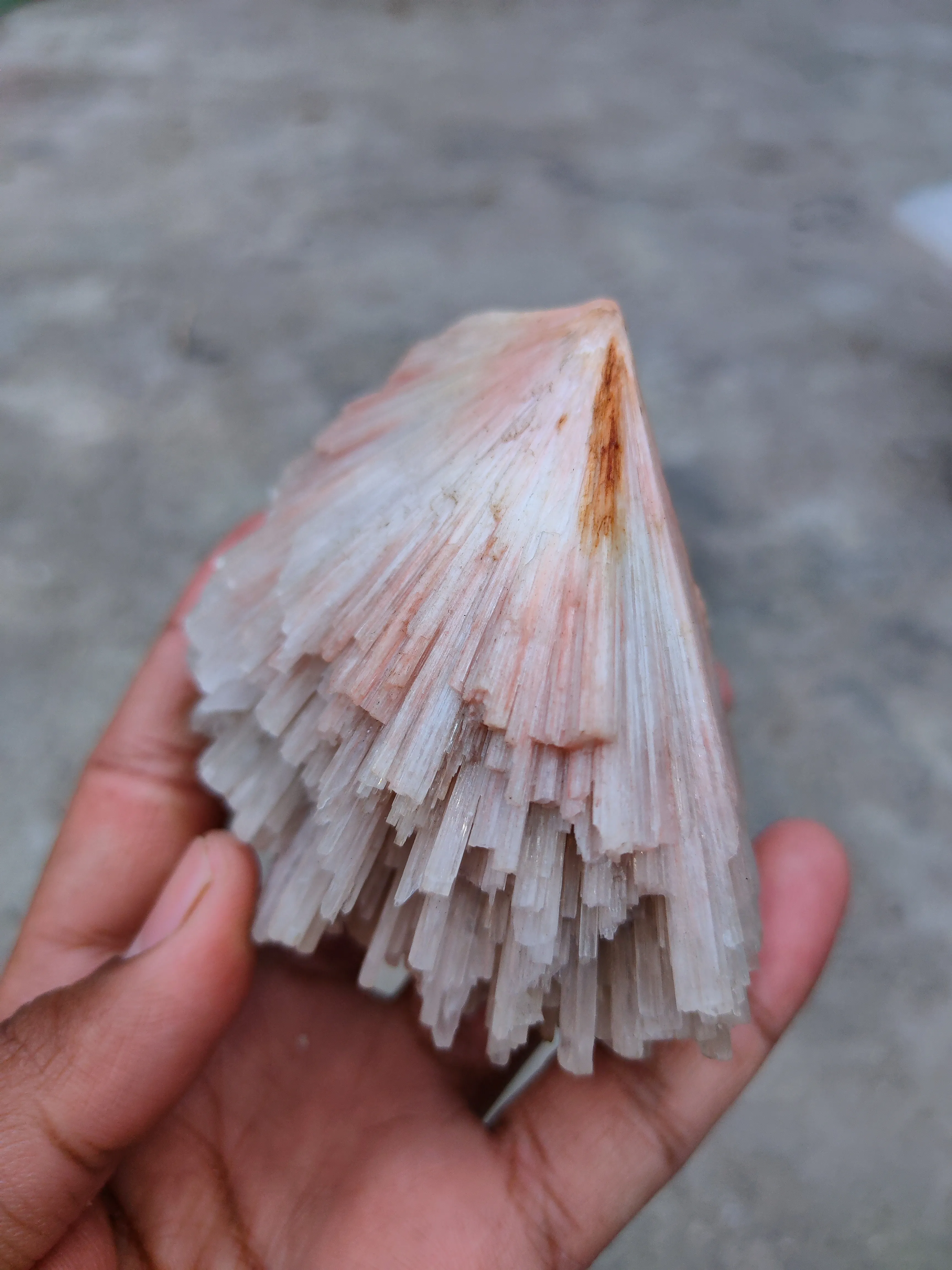 Pink Scolecite Flower Natural Specime - image 5