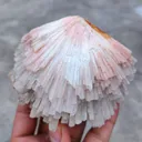 Pink Scolecite Flower Natural Specime - image 3