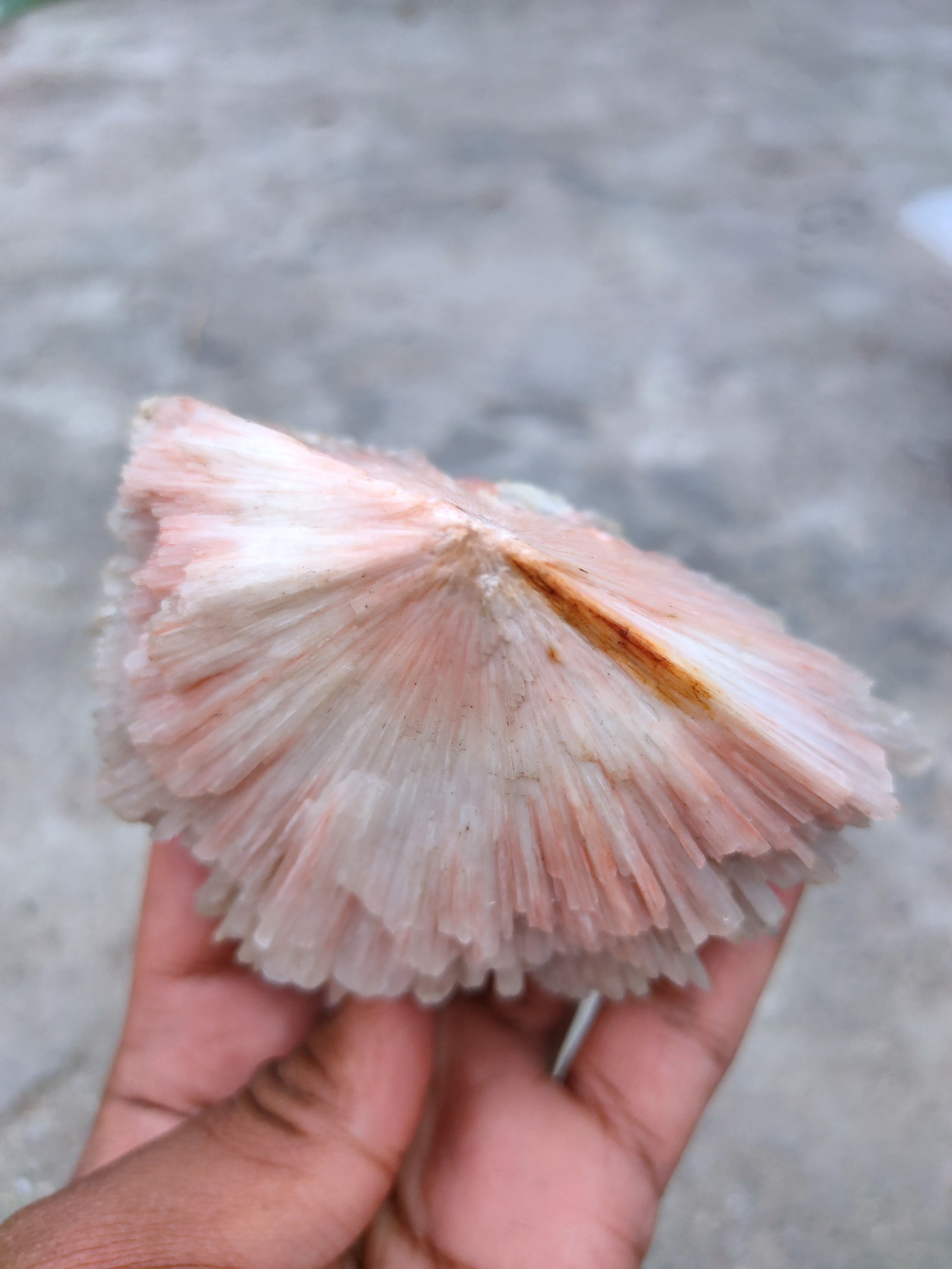 Pink Scolecite Flower Natural Specime - image 4