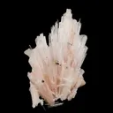 Pink Scolecite Sprays Rare found Natural Mineral Specimen - image 3