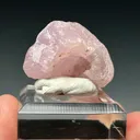 Pink Smithsonite - image 4