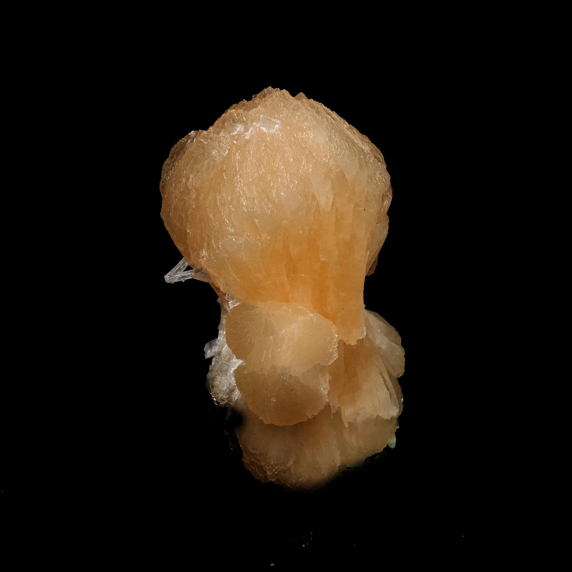 Pink Stilbite Bow Tie Cluster Natural Mineral Specimen - image 3