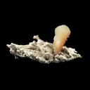 Pink Stilbite Crystal on Chalcedony Natural Formation - image 4