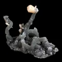 Pink Stilbite on Chalcedony Stalactite Natural Mineral Specimen - image 2