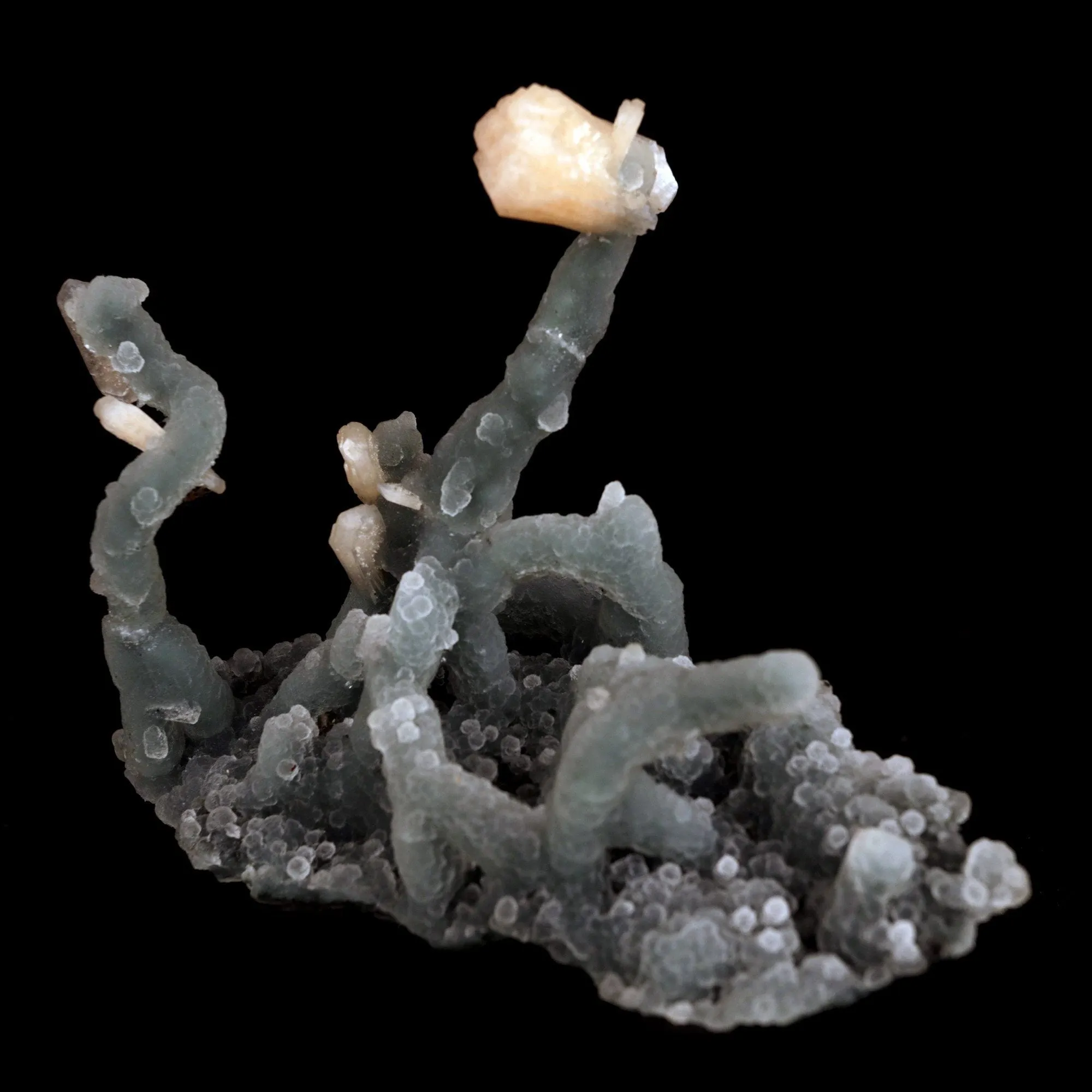 Pink Stilbite on Chalcedony Stalactite Natural Mineral Specimen - image 2