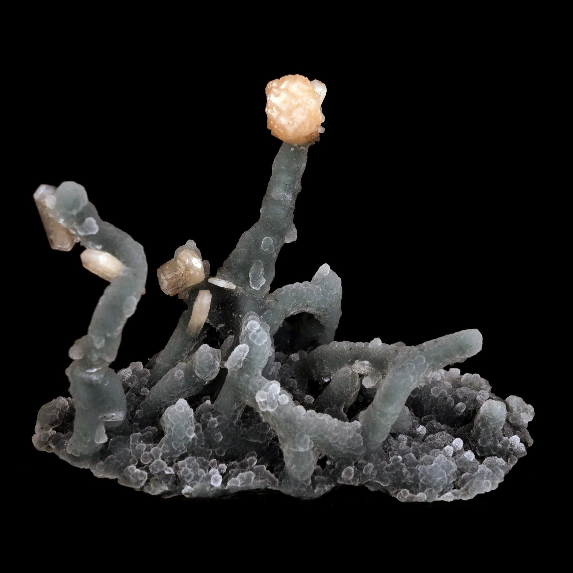 Pink Stilbite on Chalcedony Stalactite Natural Mineral Specimen - image 1