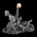 Pink Stilbite on Chalcedony Stalactite Natural Mineral Specimen - image 3