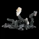 Pink Stilbite on Chalcedony Stalactite Natural Mineral Specimen - image 5