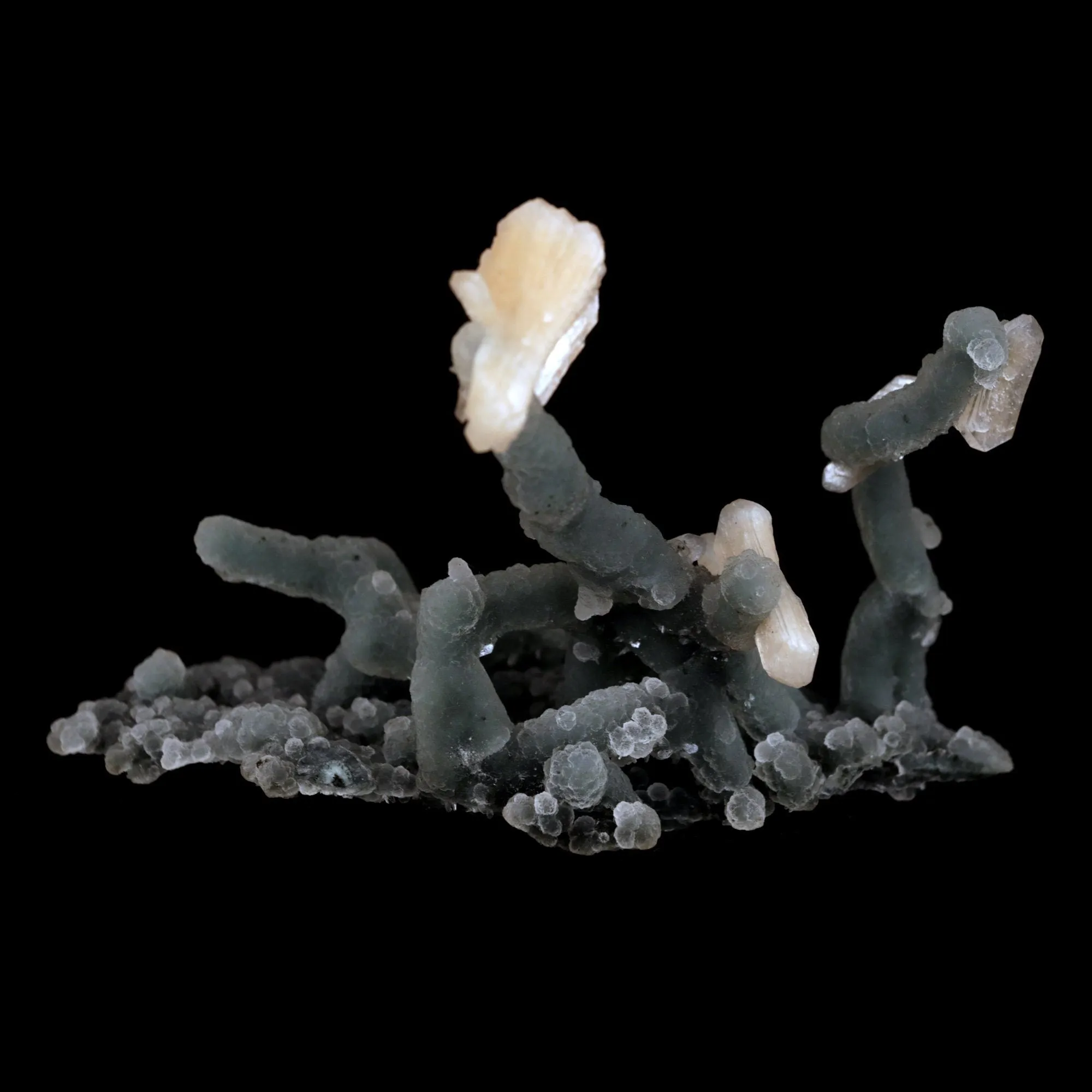 Pink Stilbite on Chalcedony Stalactite Natural Mineral Specimen - image 5