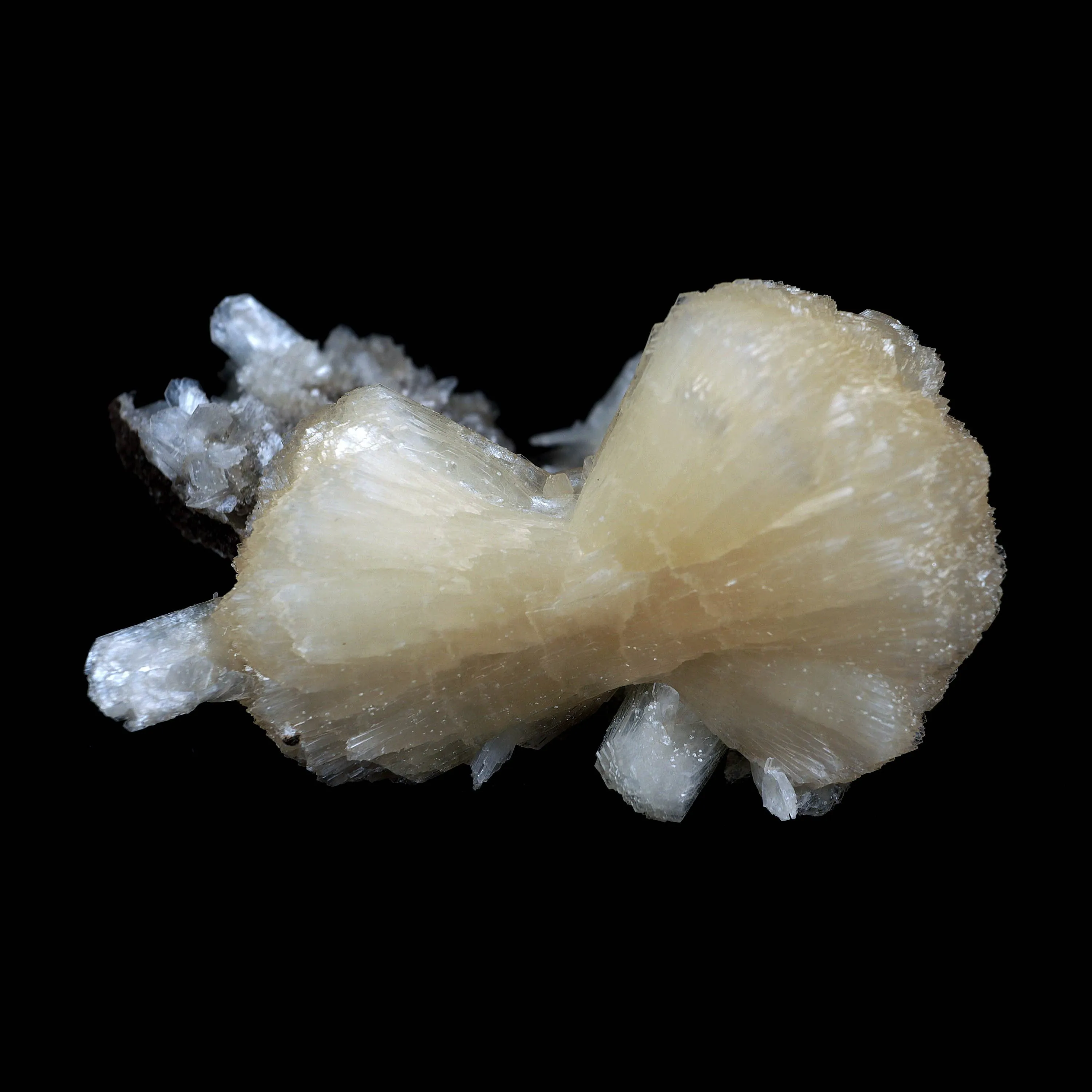 Pink Stilbite on Heuladnite Natural Mineral Specimen - image 6