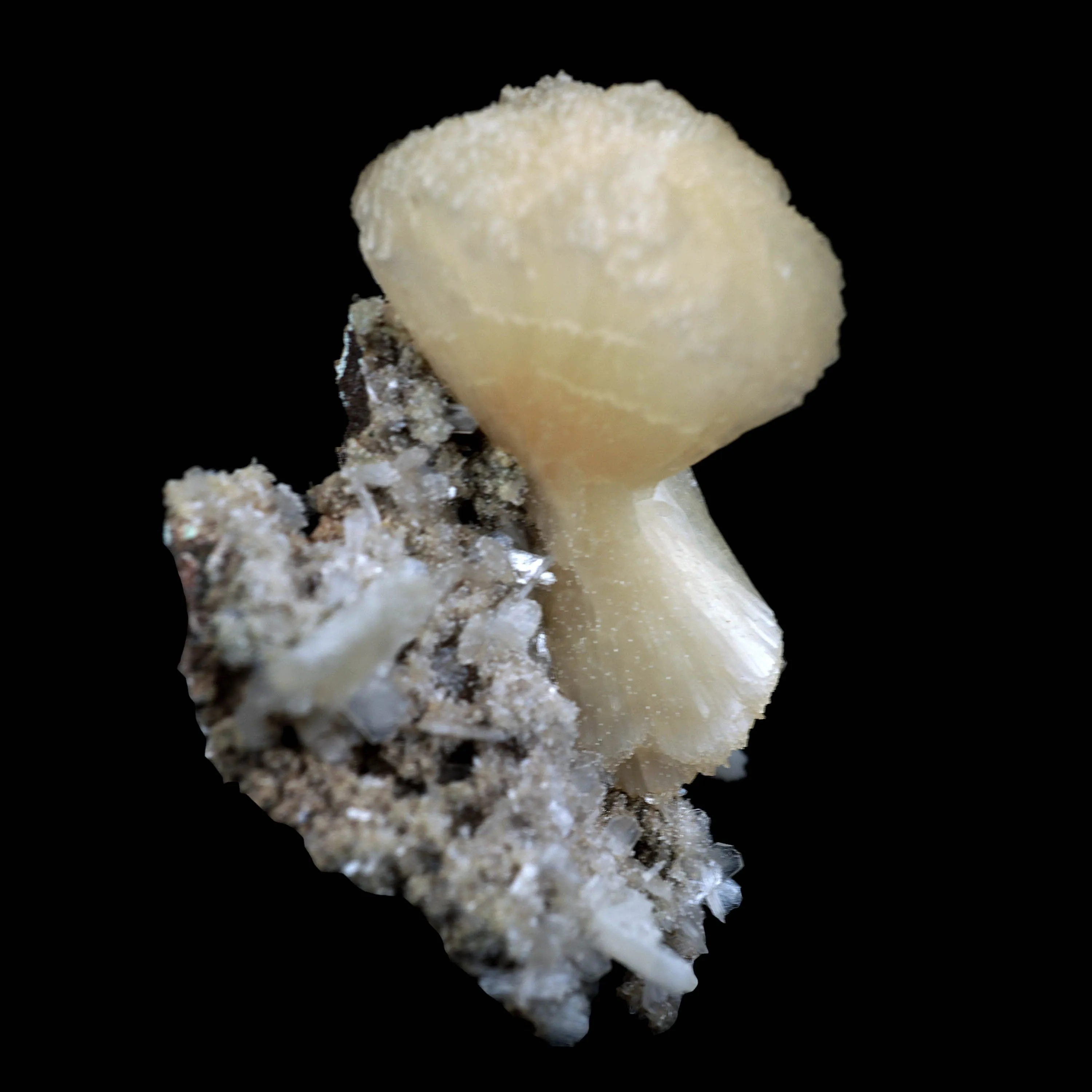 Pink Stilbite on Heuladnite Natural Mineral Specimen - image 2