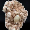 Pink Stilbite on Heulandite Natural Mineral Specimen - image 2