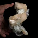 Pink Stilbite with Apophyllite Natural Mineral Specimen - image 4