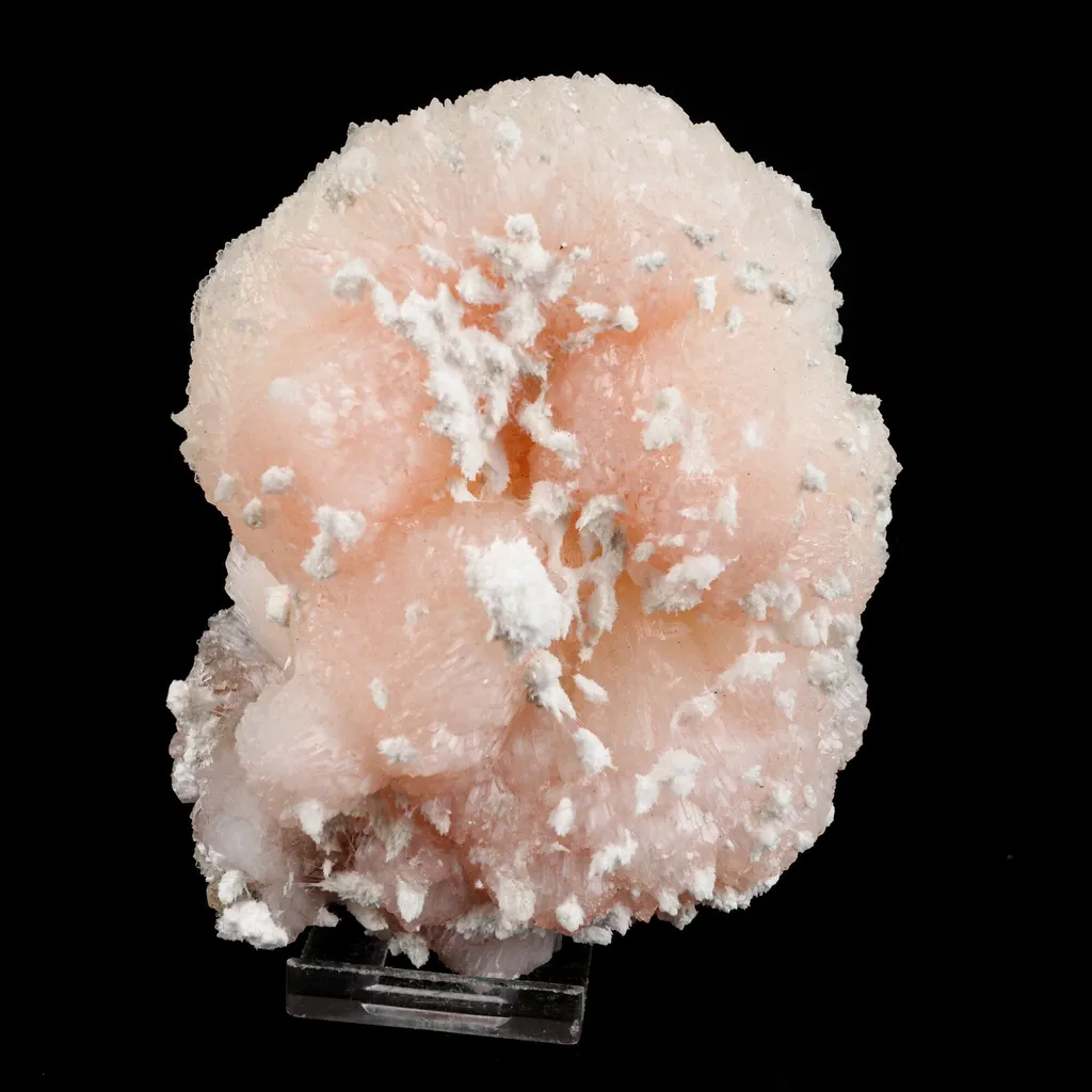 Pink Stilbite with mordenite Natural Mineral Specimen image
