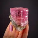 Pink Topaz (var. Imperial Topaz) - image 2