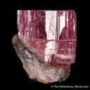 Pink Topaz (var. Imperial Topaz) - image 1