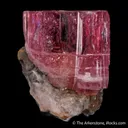 Pink Topaz (var. Imperial Topaz) - image 4