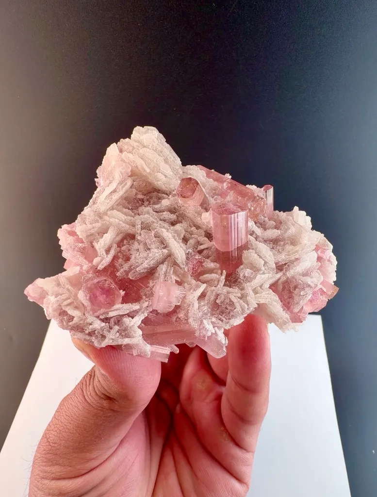 Pink Tourmaline crystal cluster on matrix from Afghanistan - image 5