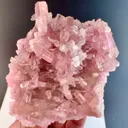 Pink Tourmaline crystal cluster on matrix from Afghanistan - image 5