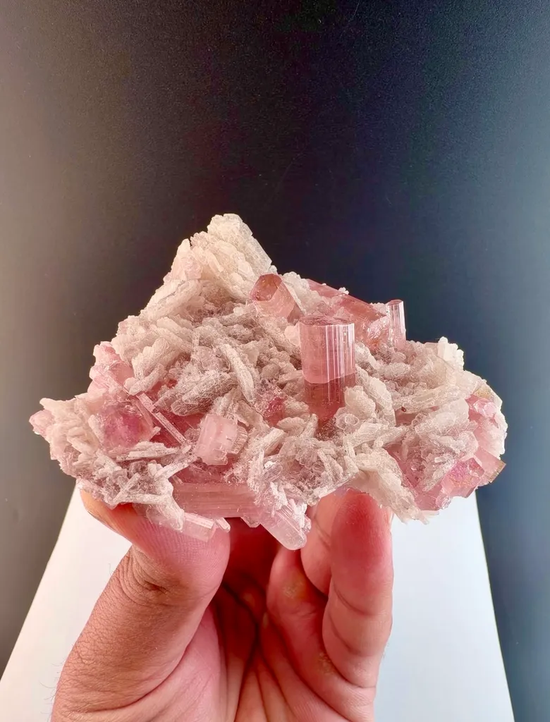 Pink Tourmaline crystal cluster on matrix from Afghanistan image