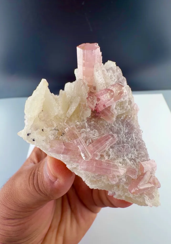 Pink Tourmaline from Afghanistan image