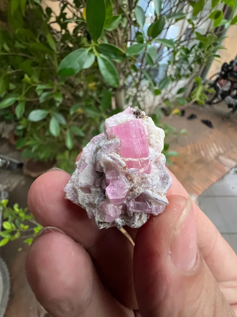 Pink Tourmaline from Afghanistan, Nuristan, Paprok, Nouristan - image 3