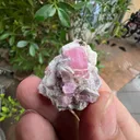Pink Tourmaline from Afghanistan, Nuristan, Paprok, Nouristan - image 3