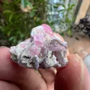 Pink Tourmaline from Afghanistan, Nuristan, Paprok, Nouristan - image 6