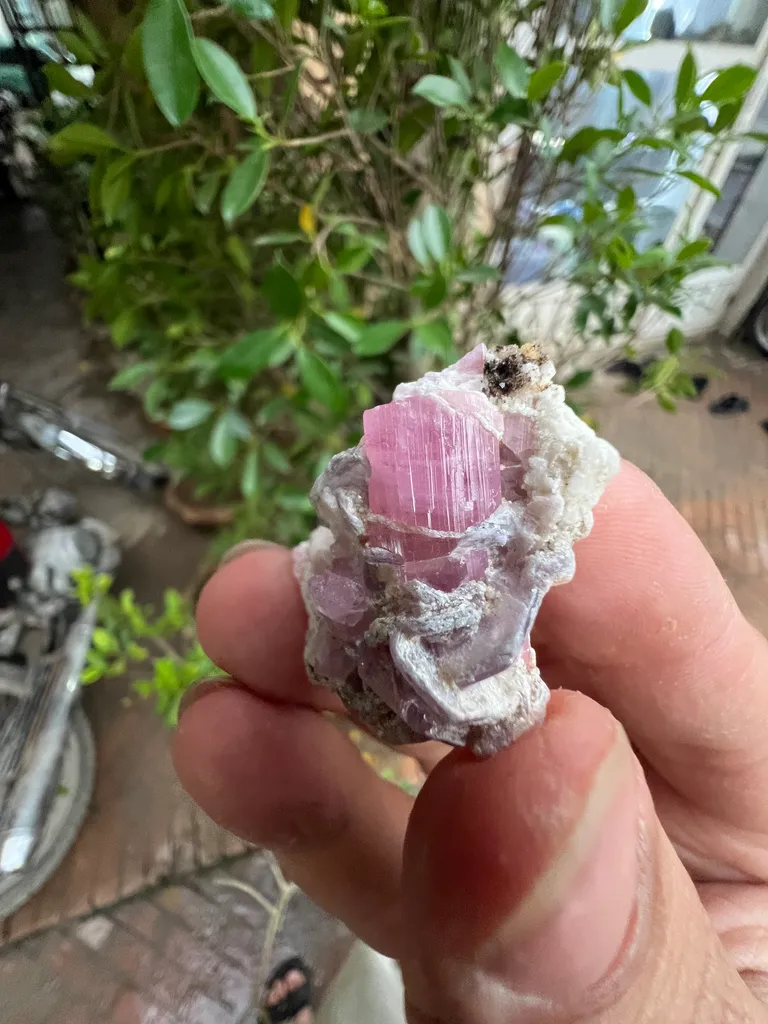 Pink Tourmaline from Afghanistan, Nuristan, Paprok, Nouristan - image 4
