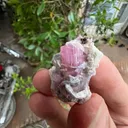 Pink Tourmaline from Afghanistan, Nuristan, Paprok, Nouristan - image 4
