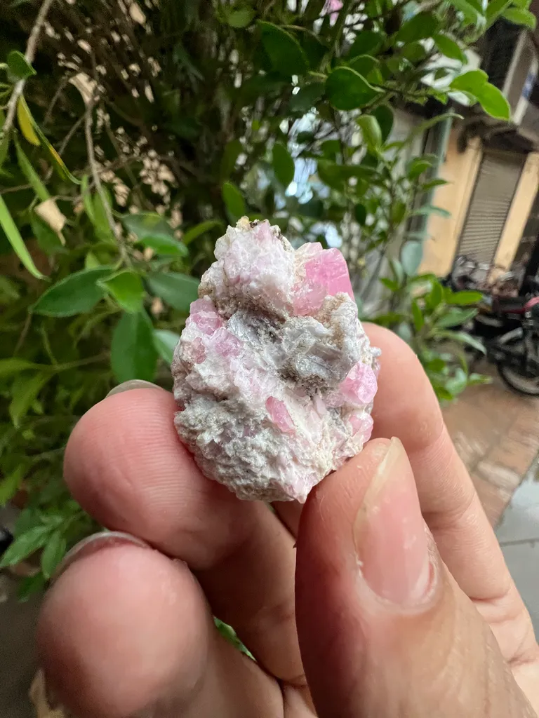 Pink Tourmaline from Afghanistan, Nuristan, Paprok, Nouristan - image 7