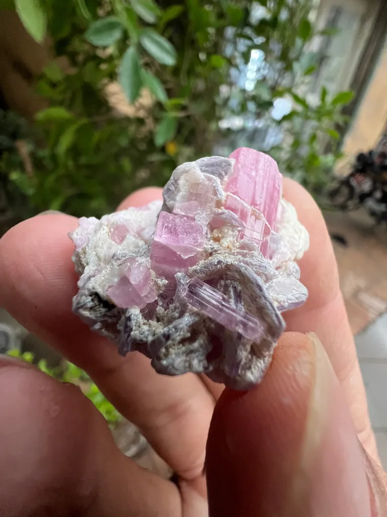Pink Tourmaline from Afghanistan, Nuristan, Paprok, Nouristan - image 8