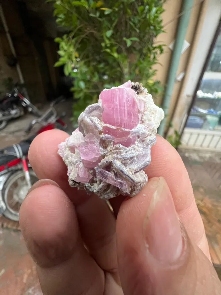 Pink Tourmaline from Afghanistan, Nuristan, Paprok, Nouristan - image 2