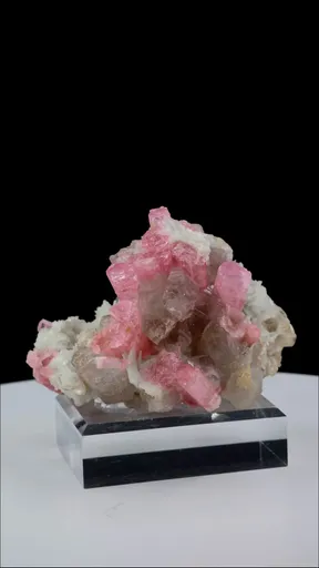 specimen video