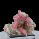 specimen video