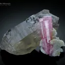 Pink Tourmaline with Smoky Quartz from Afghanistan - image 3
