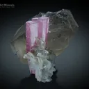 Pink Tourmaline with Smoky Quartz from Afghanistan - image 1