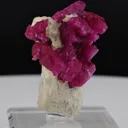 Pinkish / Redish Ruby All Over Terminated Crystals Bunch On Scapolite Crystal Combine Specimen - image 4