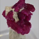 Pinkish / Redish Ruby All Over Terminated Crystals Bunch On Scapolite Crystal Combine Specimen - image 5