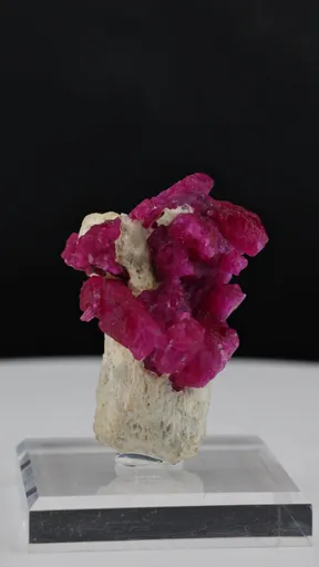 specimen video