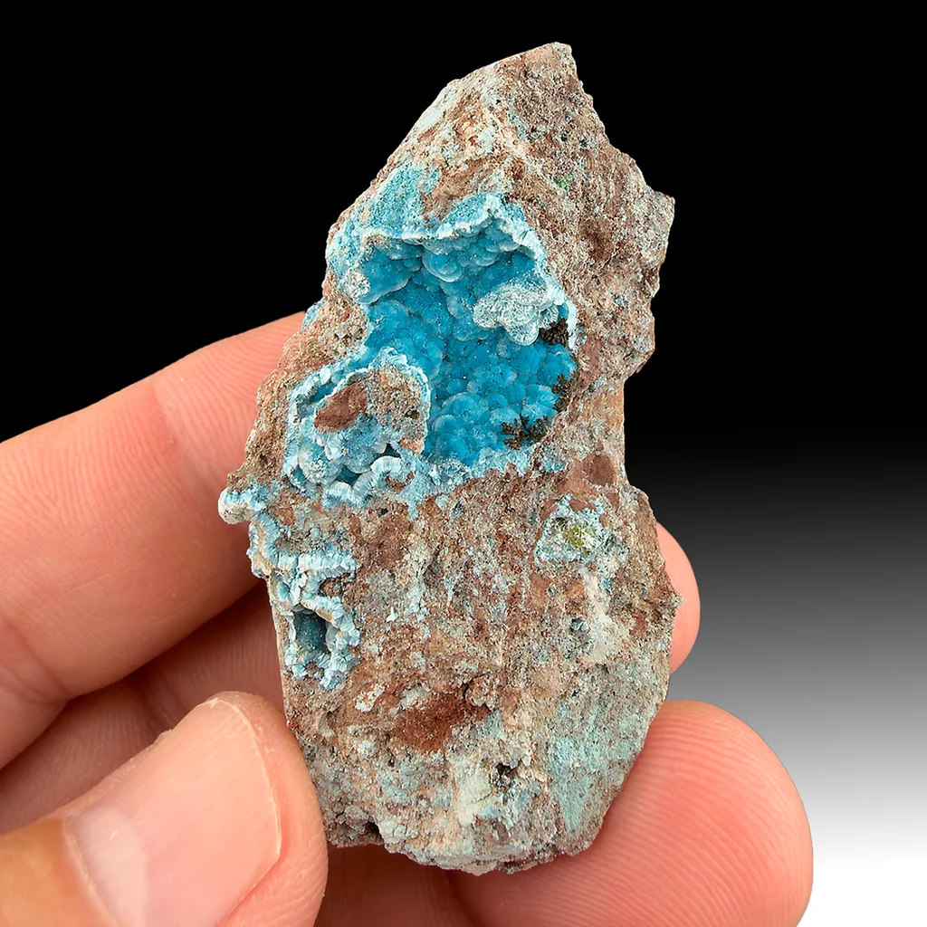 Plancheite from Shinkolobwe, Kambove Territory, Haut-Katanga, DR Congo image