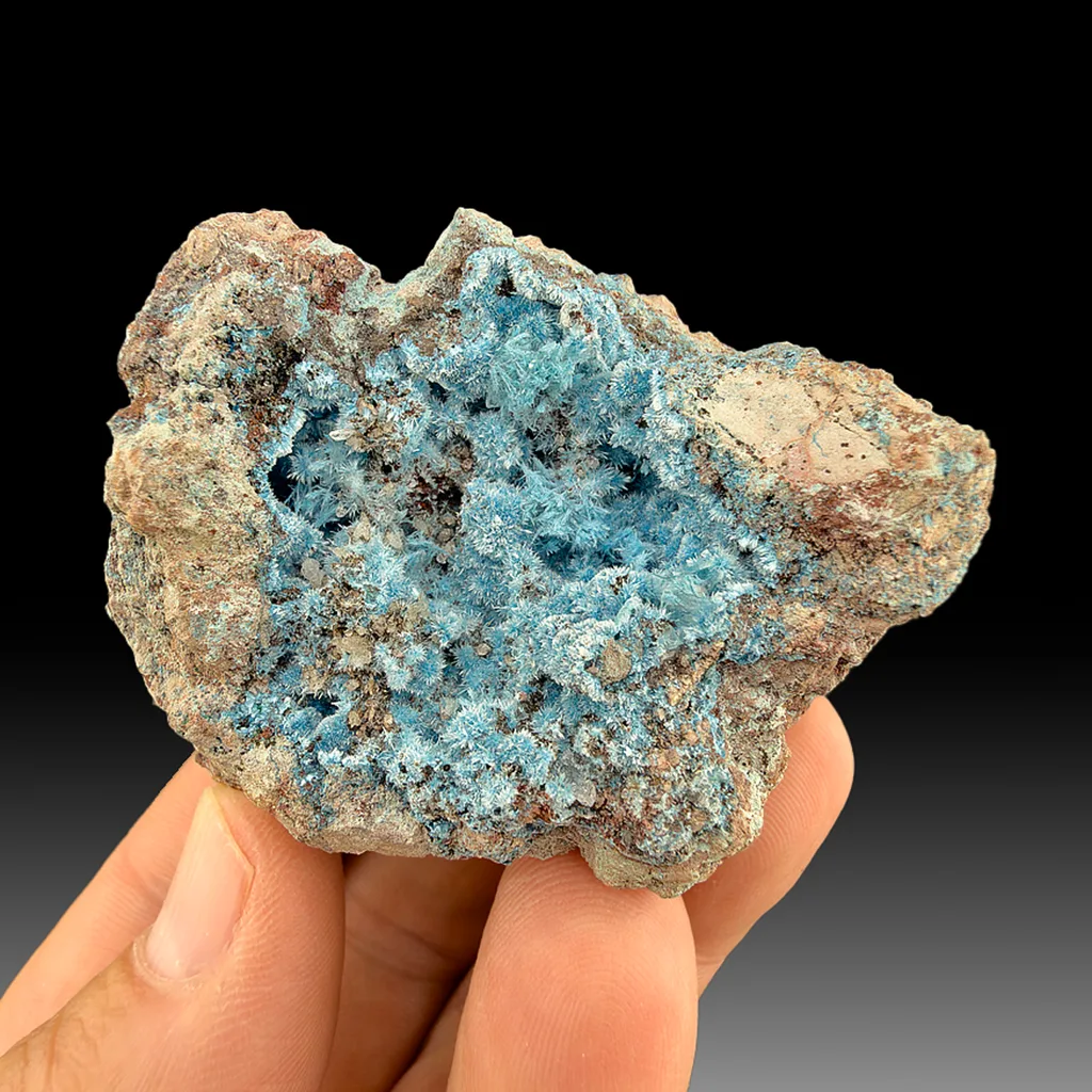 Plancheite from Shinkolobwe Mine, Shinkolobwe, Kambove Territory, Haut-Katanga, DR Congo image