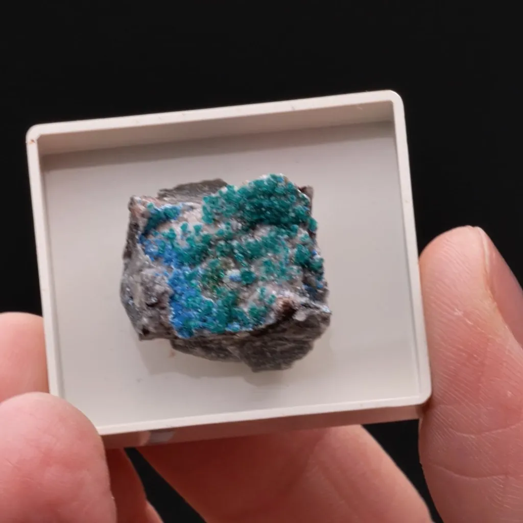 Plancheite with Dioptase Duftite on Calcite - image 2