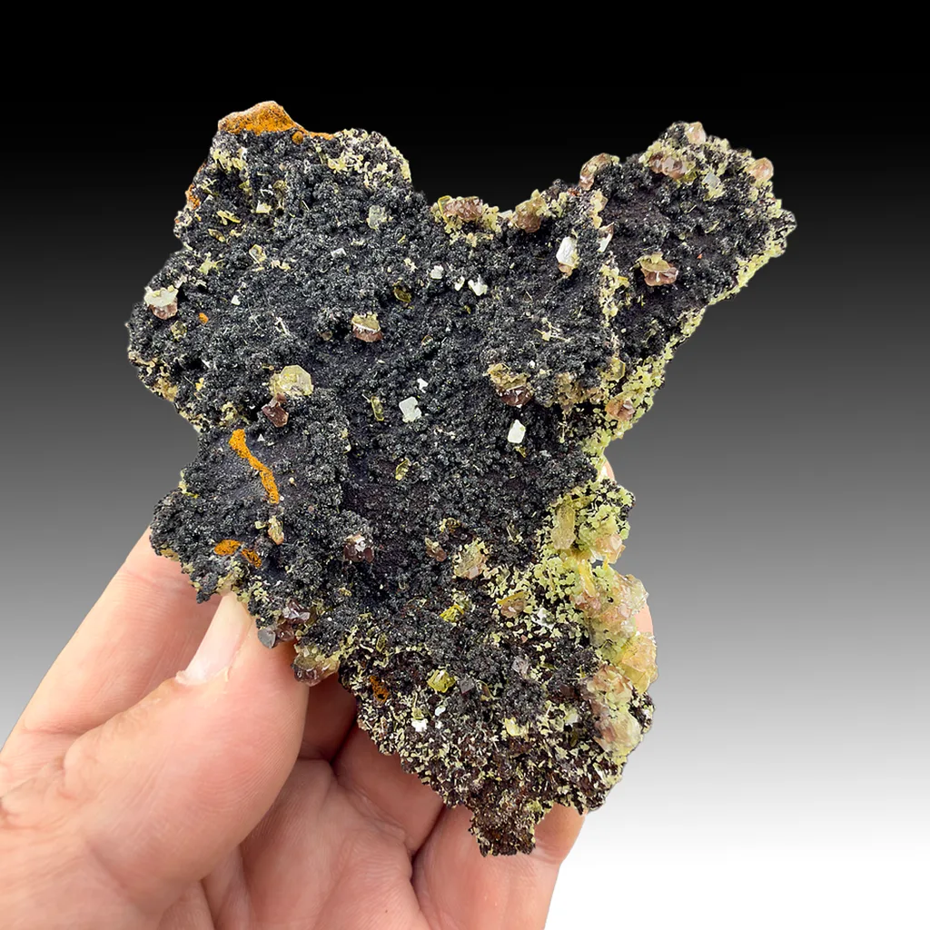 Plattnerite with Mimetite, Wulfenite image