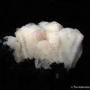 Plumboan Aragonite var. Tarnowitzite (fl) - image 5