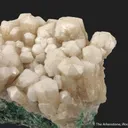 Plumboan Aragonite var. Tarnowitzite (fl) - image 4